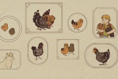 True Chickens